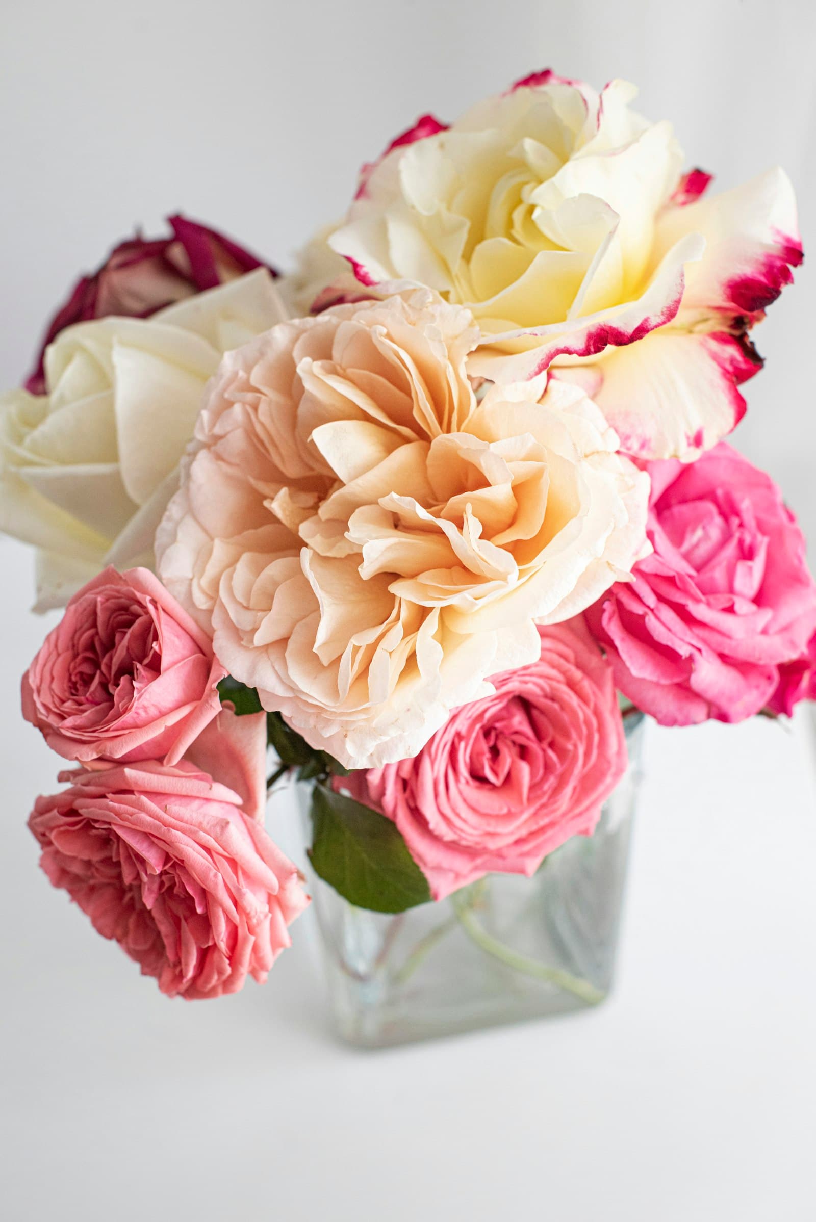 Garden roses in pink, cream and yellow in a square glass vase