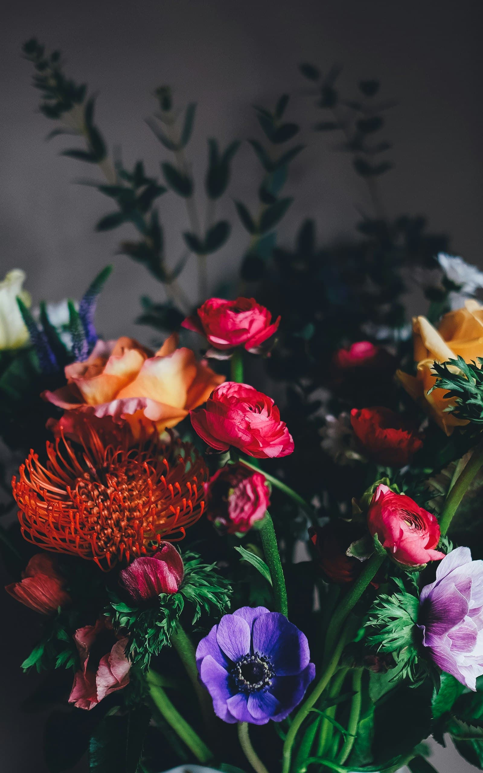 The Midnight Garden — a dark, jewel-toned bouquet of protea, ranunculus and anemone